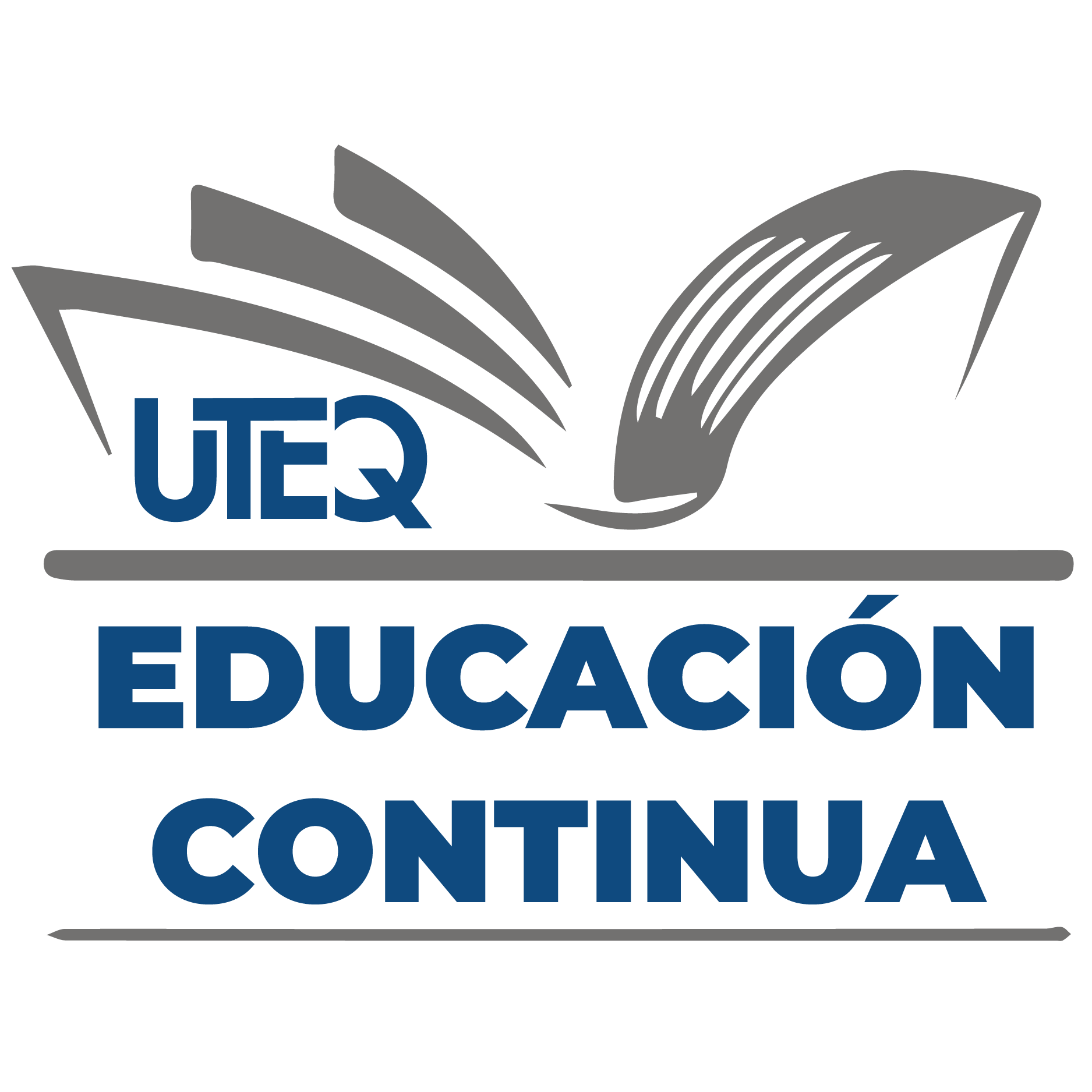 Curso de japonés en línea